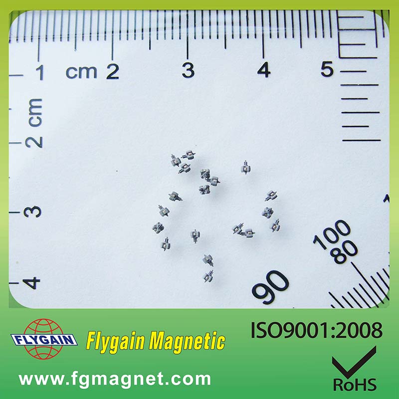Micrea-mhaighnéad do Watch Motor
