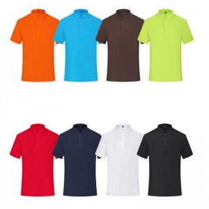 Léire Collar # 1902-Stand