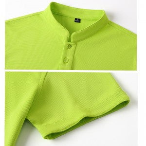 Léire Collar # 1902-Stand