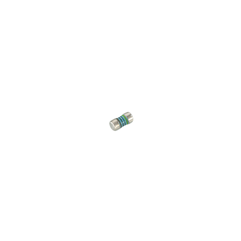 RCM204 MEL Resistor