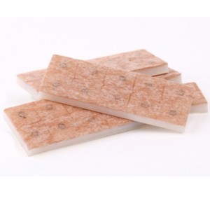 Snáthaidí Preasa Steiriúla Acupuncture