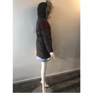 COSTAS PÁIPÉIR RIALAITHE NA LADAITHÍ RLWPC0068