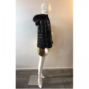 PÁLAÍONN LÁITHREAS NA LADAÍ SA BHÓR RLWPC0082