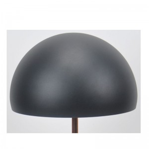 Lampa lampa faoi stiúir le bonn marmair