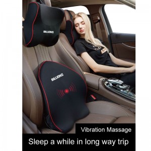 Cushion in Car