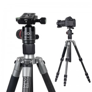 Triple Tripod Snáithín Carbóin Ríoga A81 le ceann T11 Ball Próifíl Íseal