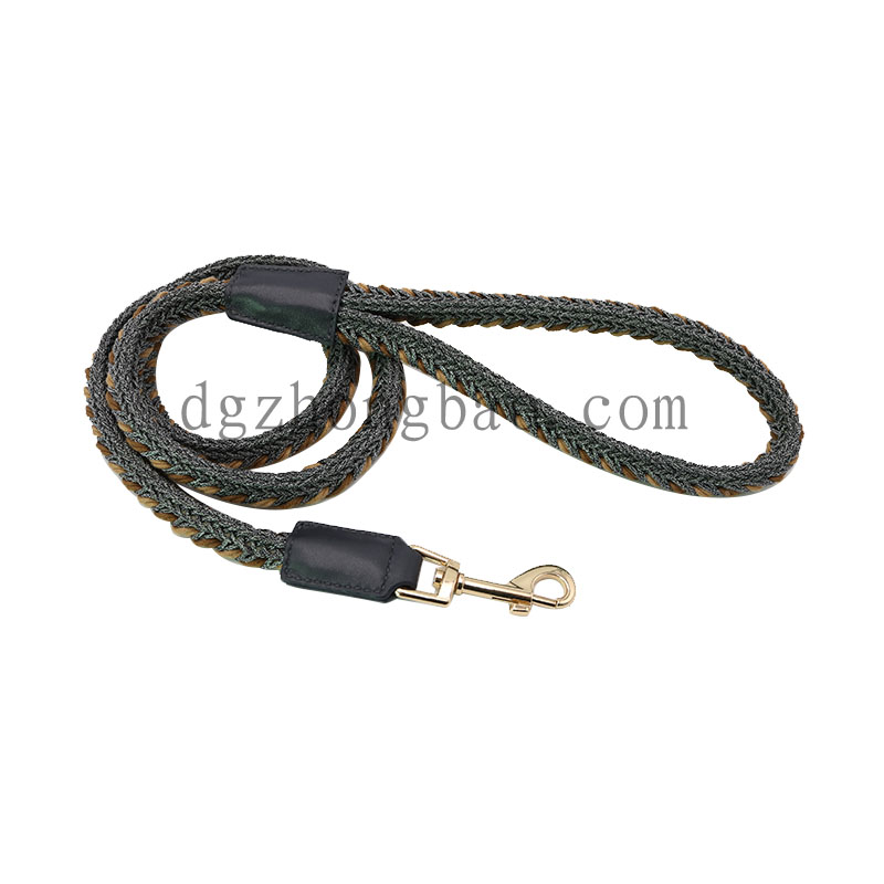 Madra eilimint braid Brown le téad luaidhe