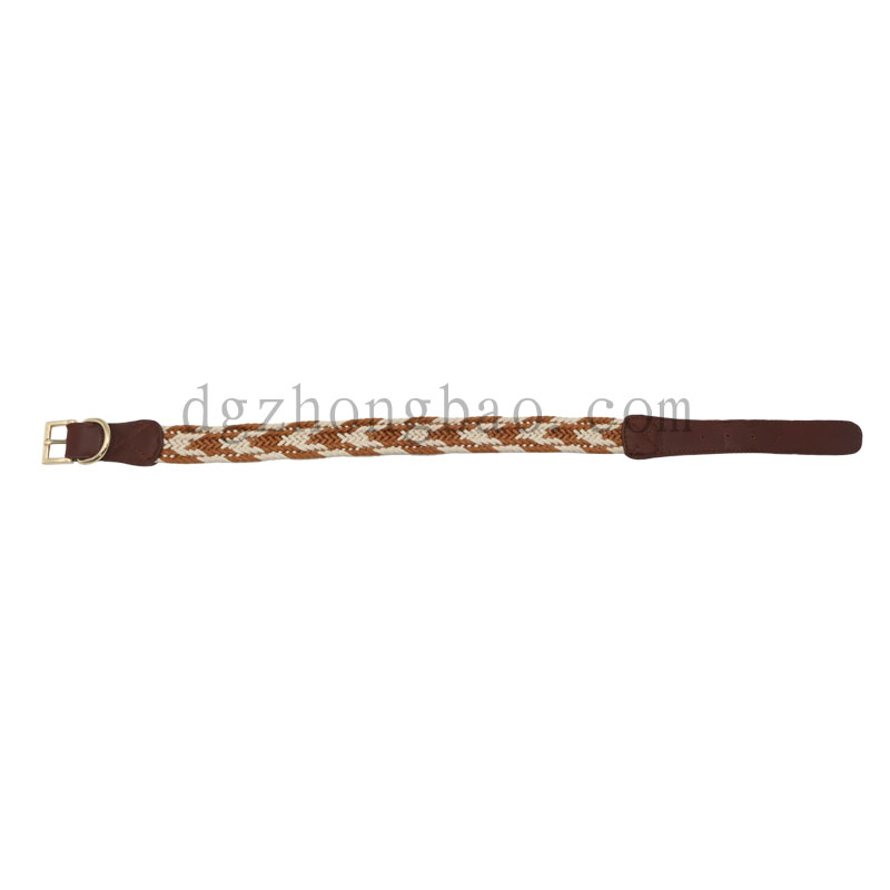 Collar iarann ​​peataí braided