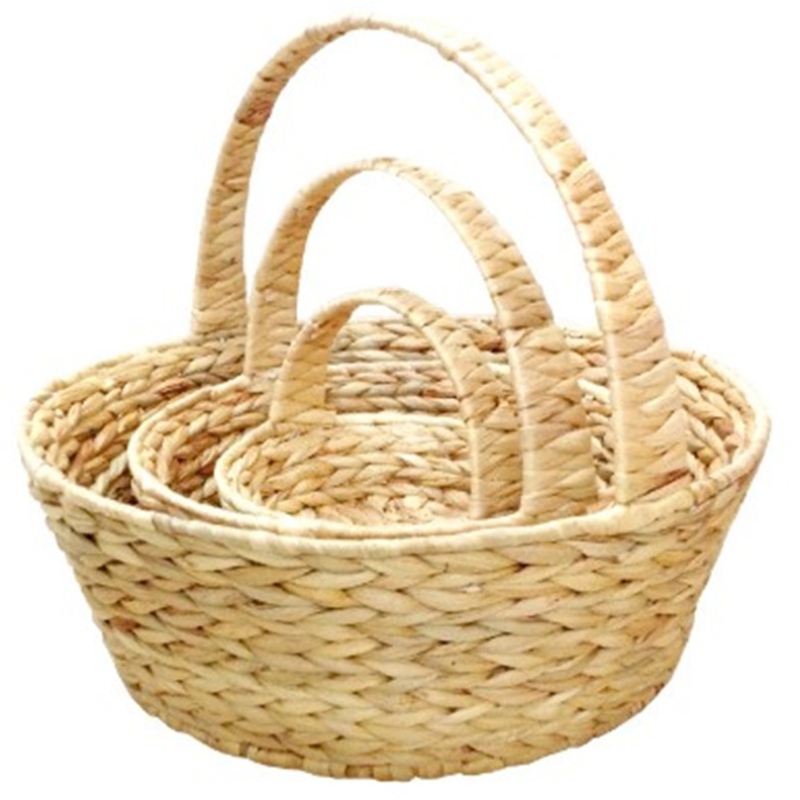 Ciseán Hyacinth Uisce le láimhseáil