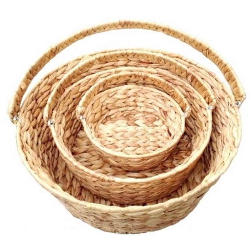 Ciseán Hyacinth Uisce le láimhseáil