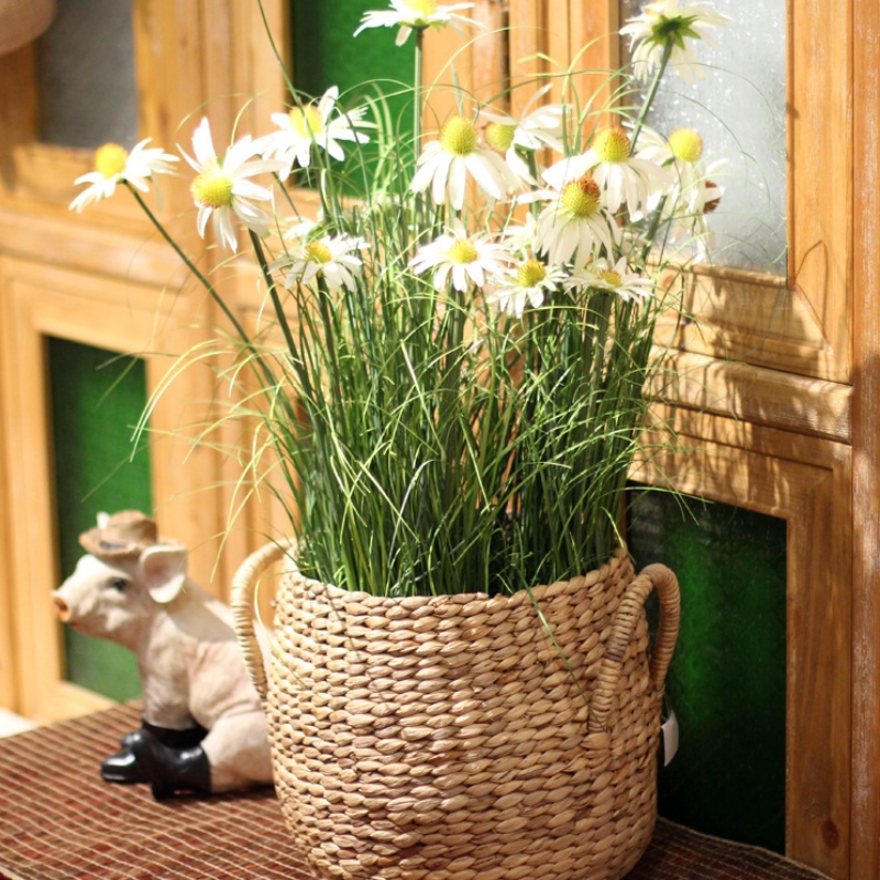 Ciseán Stórála Fite Tuí