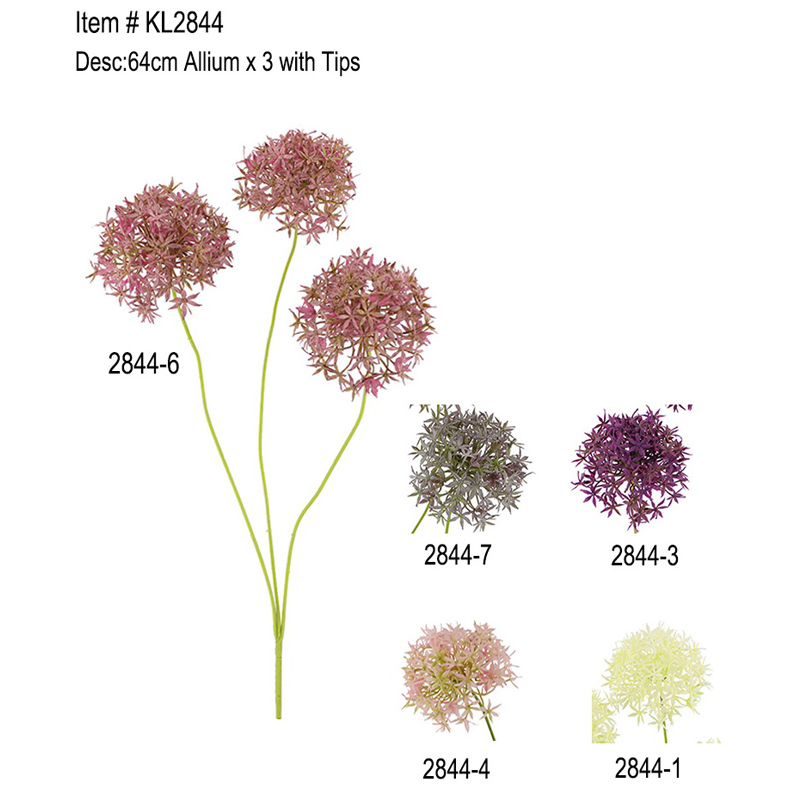 64cm Allium x 3 koos Tippidega