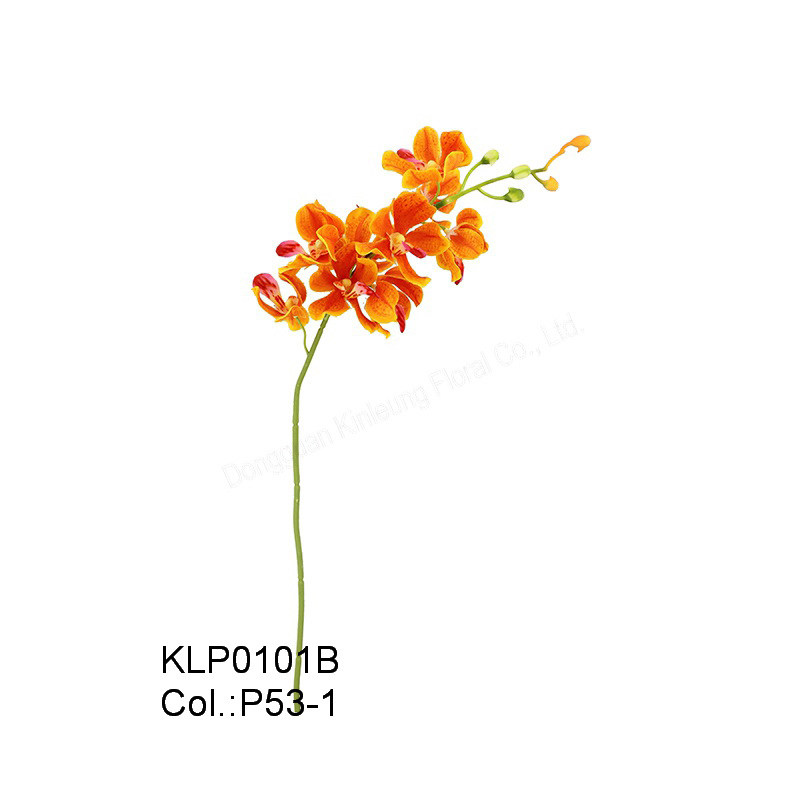 19 49cm Mokara Orchid Spray