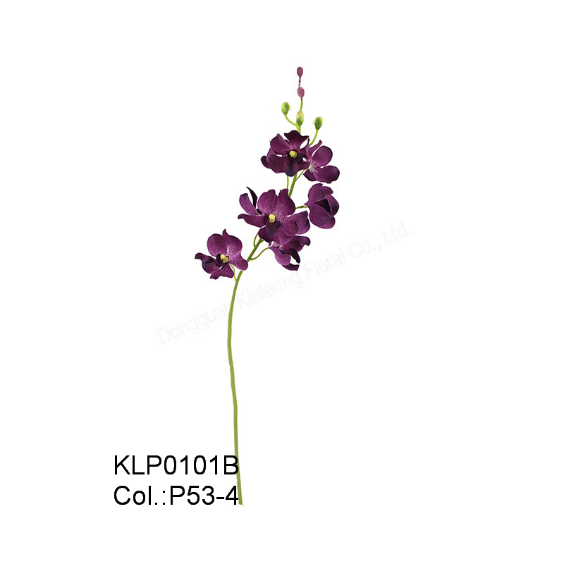 19 49cm Mokara Orchid Spray
