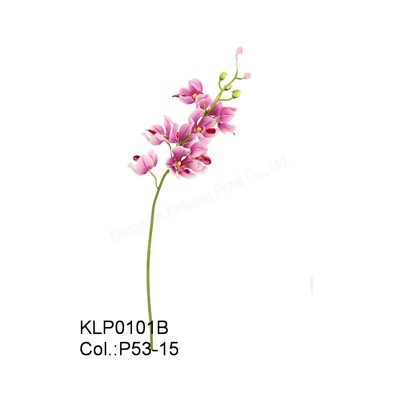 19 49cm Mokara Orchid Spray