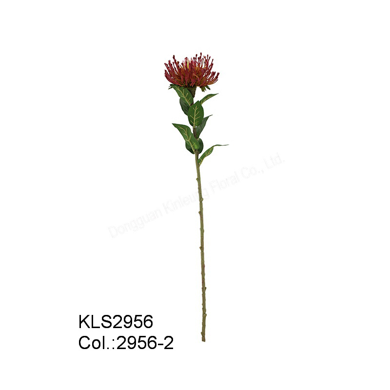 7cm Protea Spray
