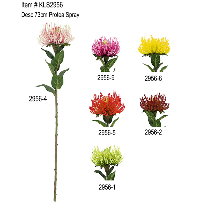 7cm Protea Spray