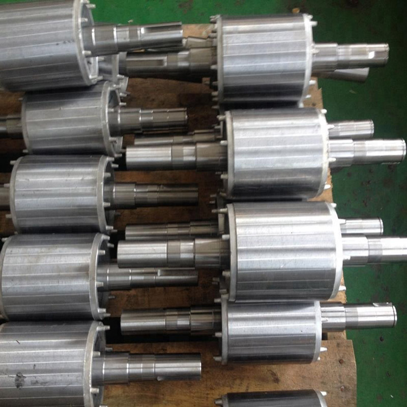 Elektriline alaline neodüümmagnet motoorne rootor, millel on kõrge täpsusastmega täiskohandatav rootorimagnet müügiks