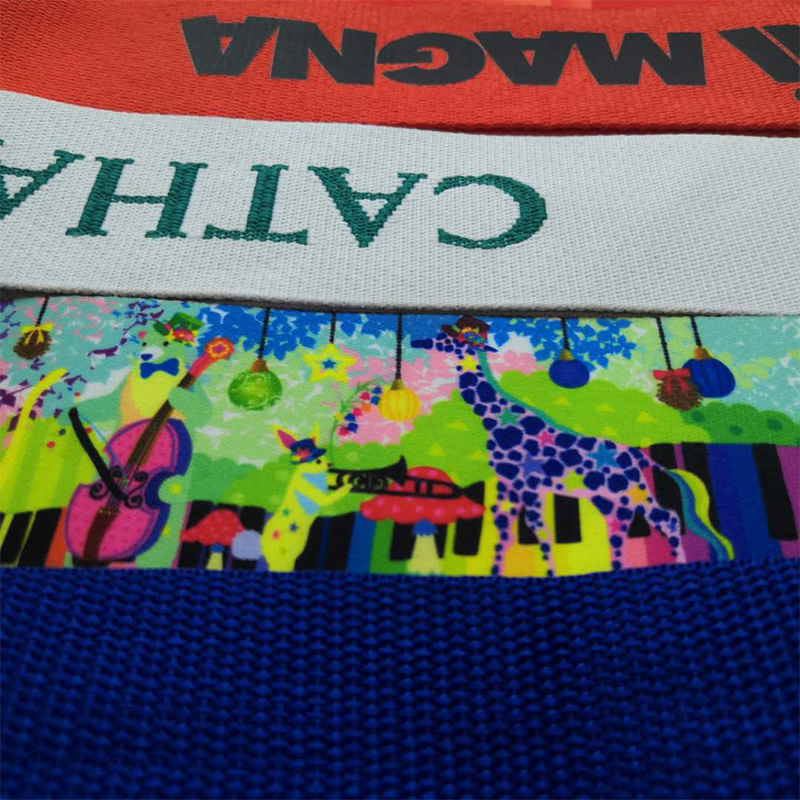 Tehase otsemüügiga kahepoolsed siidist siidist käsipagasi vöö, kuum pagasirihm, jacquard pagasi vöö paksendamine, kohandamine