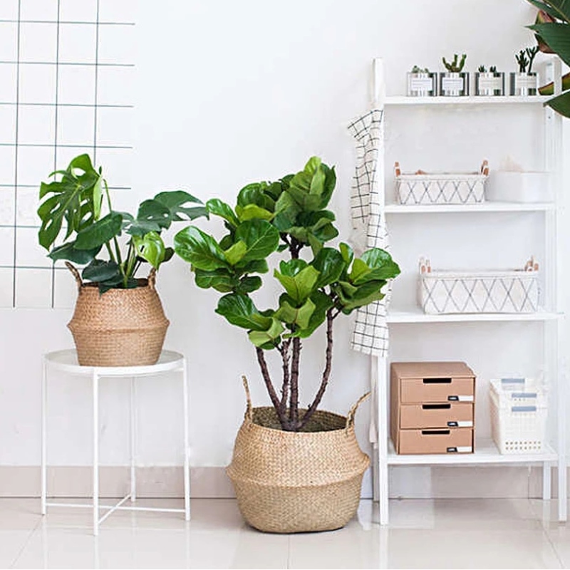 Ciseán bolg féar mara fite le haghaidh ciseán féar mara crochta