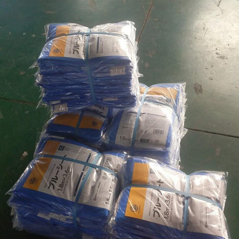 Dath glas HDPE Fabraic Uigí Tarpaulin LDPE Bileog Plaisteach Tarpaulin Laminated PE Bileog Plaisteach Tarpaulin