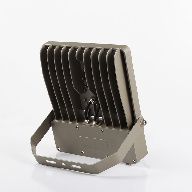 Kõrge lumine SMD IP65 Veekindel Välisuks 100w juhitud valgusvoog