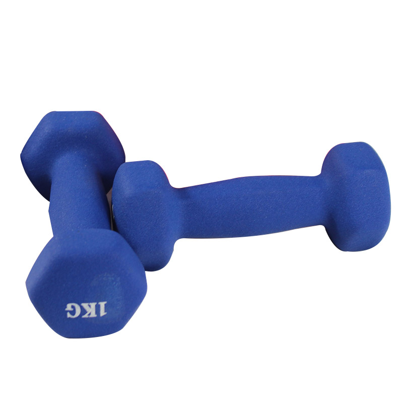 Cleachtadh Aclaíochta Vinyl Dumbbell Ladies Dumbbell