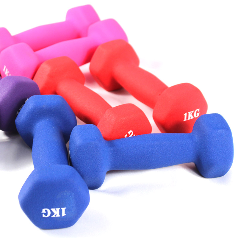 Cleachtadh Aclaíochta Vinyl Dumbbell Ladies Dumbbell