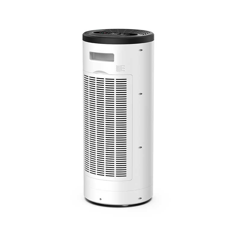 Smart Home Air Cleaning Active Carbon Anion Negative Ion Air Purifier