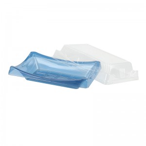 Sushi salve sinine põhi