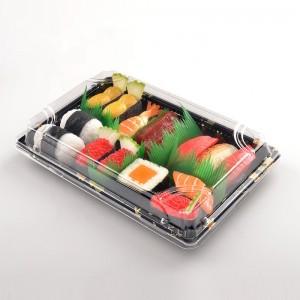 Sushi salv X-07