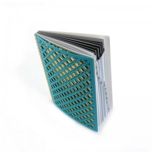 Igakuine Planneri märkmik