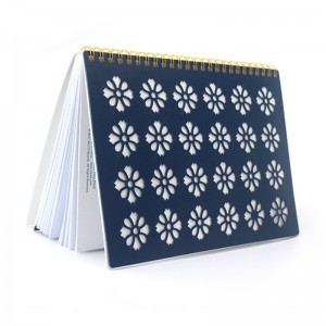 leabhar oibre clúdach log