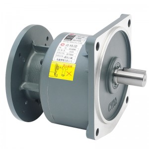 Laghdaitheoir Luais Ingearach Gearmotor CVM