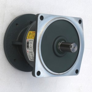 Laghdaitheoir Luais Ingearach Gearmotor CVM