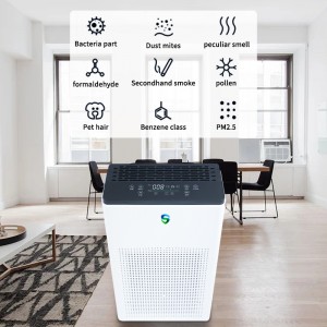 Kahepoolne puhastaja (aktiivne puhastamine + passiivne puhastamine)