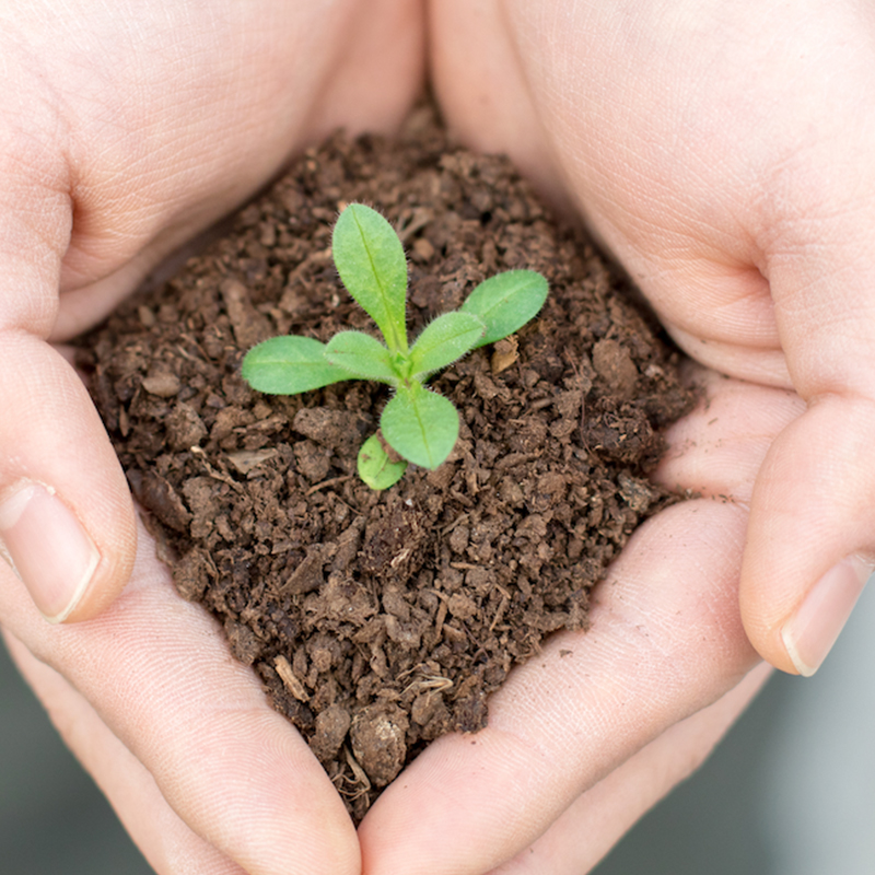 Suurepärane toodang