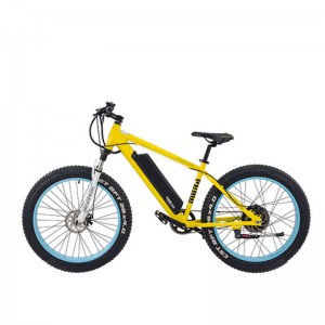 Ainm an táirge S1-X1