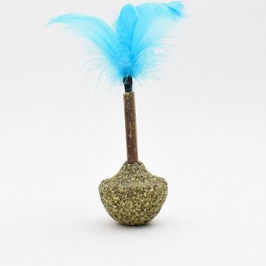 Cat Mint Mint Tumbler Lollipop