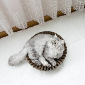 Scratch Páipéar Sunflower Scratch Nead