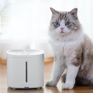 2l tobair uisce peataí