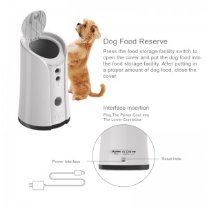 Dáileoir cóireála ceamara madraí