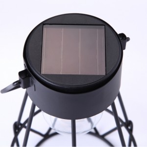 Soilse Gréine Solas Féileacán Féileacán Solas Solas Solas Solas Solas