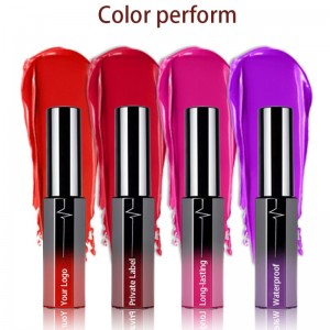 Lipstick leachtach fada buan