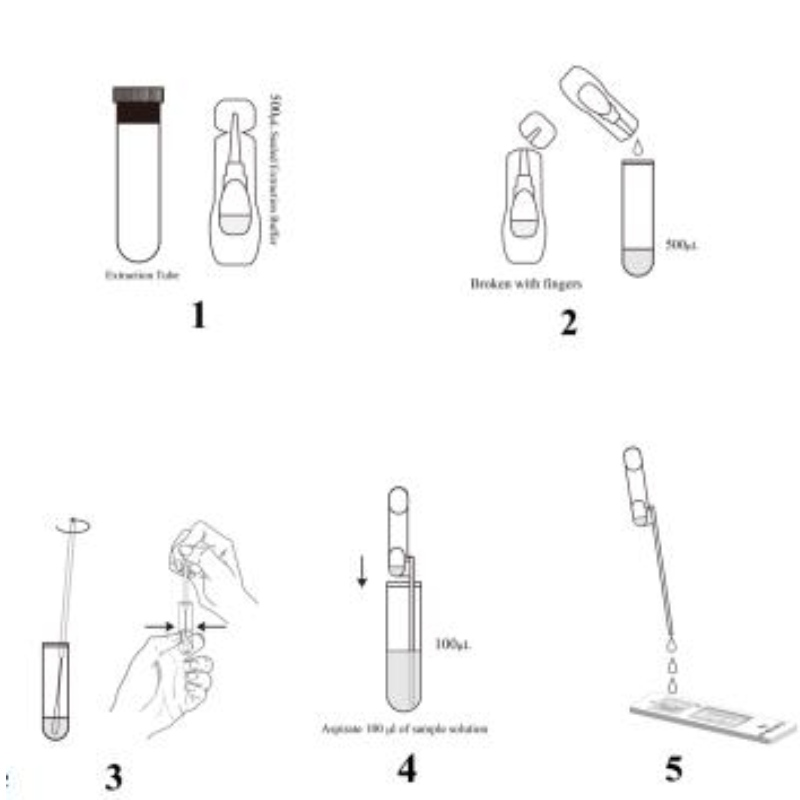 Kit Tástála RAPID antigen SARS-COV-2 (Fluaraiseacht Am-Réitithe)