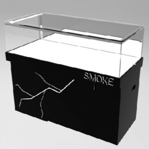 Raca taispeána jewelry