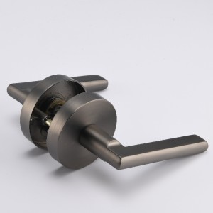 R7501 Príobháideacht Doras Príobháideachta Léargas Doras Intí Keyless Glas Doras