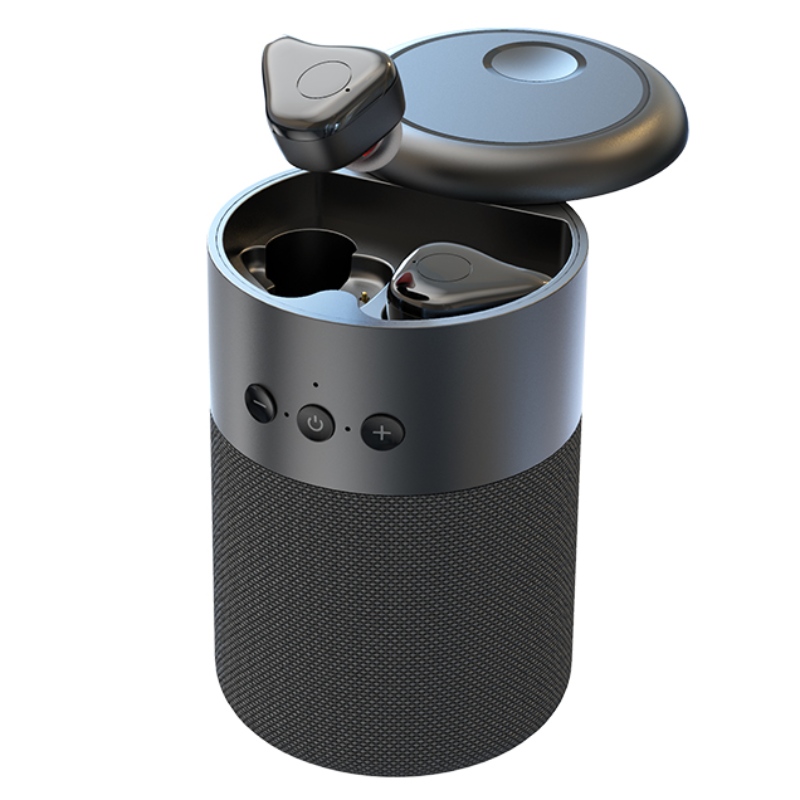 FB- BEB20 TWS Kõrvaklapid + Bluetooth spiiker 2 in 1 Combo