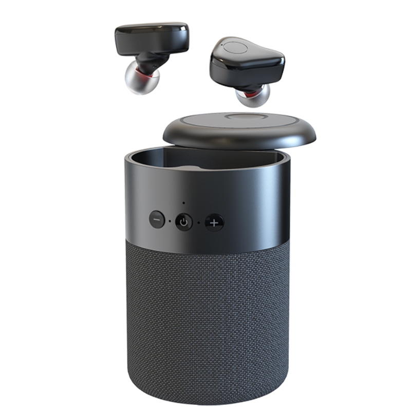 FB- BEB20 TWS Kõrvaklapid + Bluetooth spiiker 2 in 1 Combo