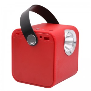 Cainteoir Bluetooth adhmaid FB-BS5060 le Tóirse LED